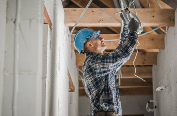 Best Licensed Electrician  in Mulberry, IN